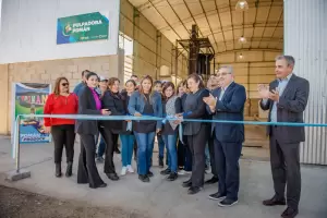 Habilitaron una pulpadora de membrillo en Pom�n