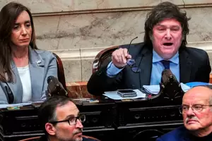 Milei en  Diputados: "Voy a votar a favor de la reduccin de impuestos porque son un robo de los polticos chorros"
