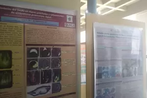 XXXIX Jornadas Argentinas de Botnica: Se exhiben poster cientficos de todo el pas