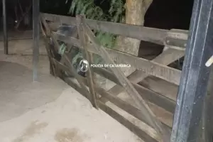 Robaron el portn de una casa de un hombre mayor