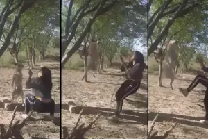 Indignante: "Es una piata": menor colg a un perro de un rbol y se viraliz