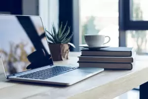 Una empresa busca trabajadores remotos en Argentina: Qu requisitos piden?