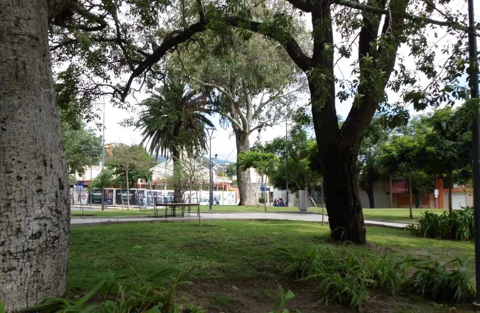 Domingo inestable y ventoso para gran parte de Catamarca