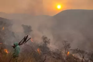 Se registraron 235 incendios forestales en lo que va del ao
