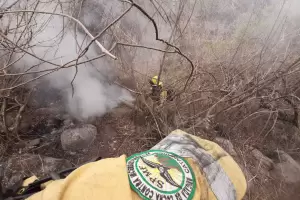 Brigadistas y bomberos contuvieron "gran parte del incendio" de camino a El Rodeo