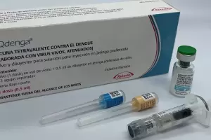 Vacuna del dengue: quines la deben recibir, cundo y cunto dura la inmunidad