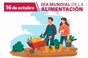 Da Mundial de la Alimentacin: importancia