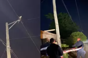 Policas socorrieron a un gato atrapado en un poste de tendido elctrico