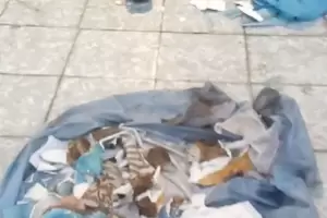 Destrozaron una gruta de la Virgen del Valle