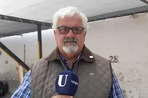 Molina: Milei divide el voto de la oposicin y quita la posibilidad de ganar la provincia