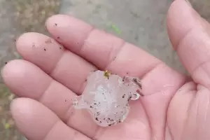 Lluvia, granizo y un derrumbe en El Portezuelo agitaron este domingo electoral
