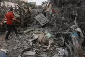 El Vaticano e Irn dialogaron para buscar soluciones al conflicto Israel-Hamas