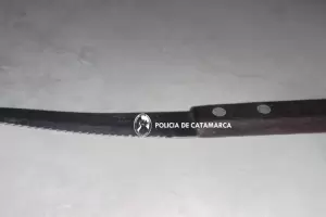 Aprehenden a un joven por insultar a policas