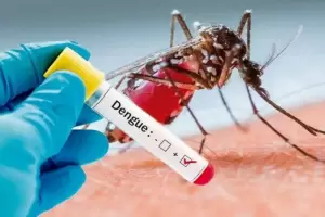 Detectan un nuevo caso de dengue en la provincia