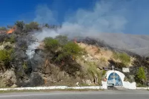 El 2023 cerr con ms incendios forestales pero con menos superficie afectada