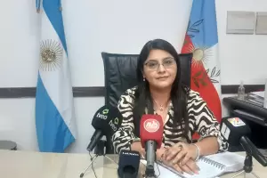 Dengue en Catamarca:  el caso positivo corresponde a un serotipo nuevo en la provincia