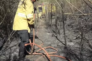 Incendio en El Rodeo: Los brigadistas descompensados estn fuera de peligro