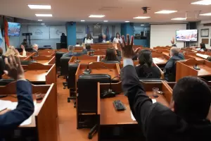 Sesin en Senado: Catamarca adhiri a la ley del fortalecimiento de bomberos voluntarios