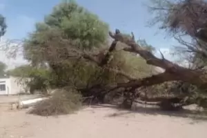 El viento zonda gener graves daos en Tinogasta y afect el servicio elctrico