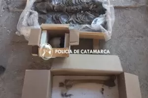 Encuentran restos seos en Pomn