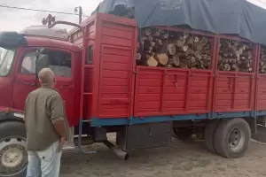 Medio Ambiente realiz controles y secuestros de carga forestal