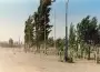 Para estar atentos: se viene un mi�rcoles con r�fagas de hasta 59 km/h en Catamarca