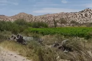 Precaucin: un poste de luz cay tras un siniestro vial