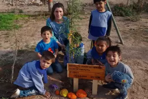 Educacin plant ms de 800 rboles del programa Infancias verdes, herederas de vida