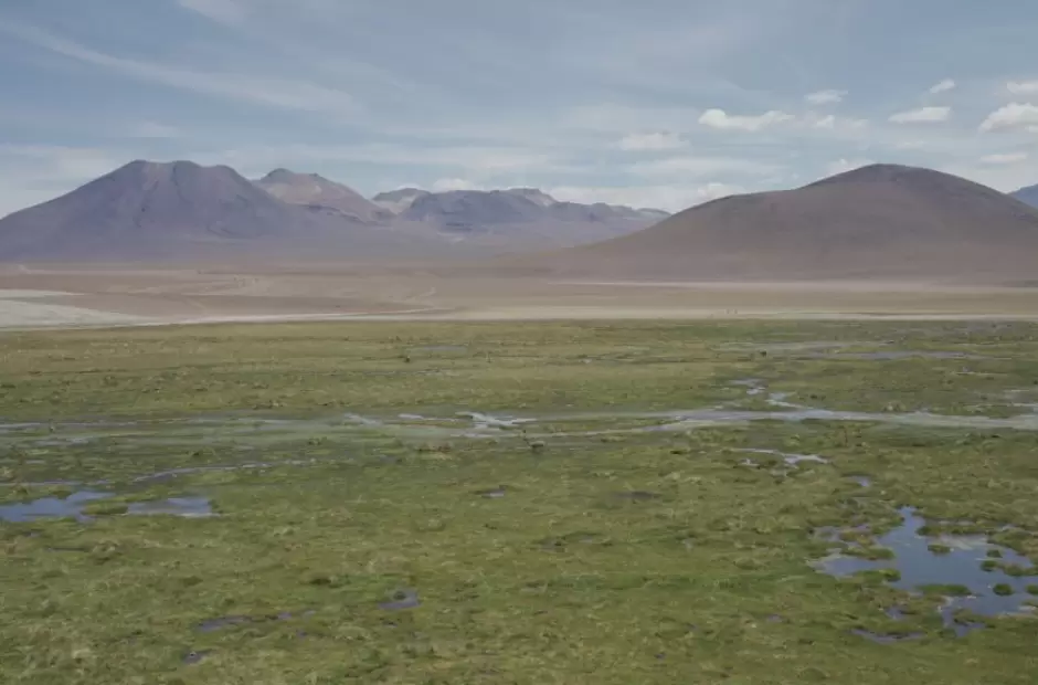 (Foto: Aline Juarez)