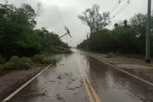 Las Caas: por postes cados, transitar con precaucin