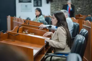 El Senado dio media sancin al proyecto de ley de regulacin de la actividad de Uber