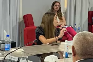 La ministra Alejandra Nazareno fue elegida para presidir la Comisin Federal de Impuestos