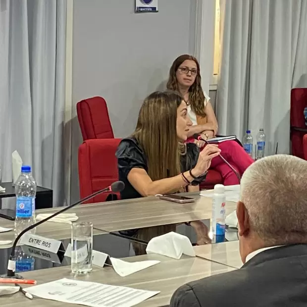 La ministra Alejandra Nazareno fue elegida para presidir la Comisi�n Federal de Impuestos