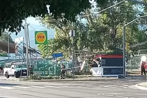 Un rbol cay sobre un kiosco en Capital