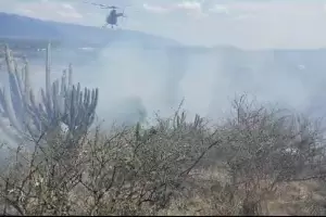 Quebrada de Moreira: el incendio forestal fue contenido y no hubo riesgo en las viviendas