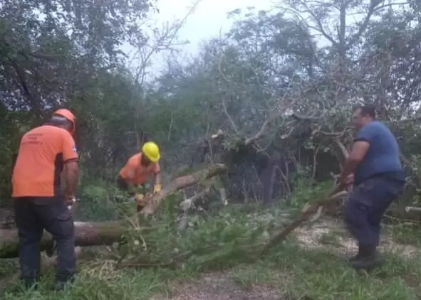 tormenta santa rosa jose las caas