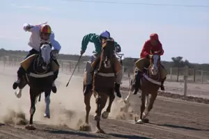 Suspenden la actividad hpica en Catamarca por una enfermedad equina