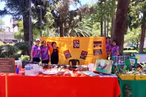 Educacin realiz colorida feria por el Da de las Personas con Discapacidad