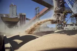 Cerealeras prometen a Milei anticipar US$5.000 millones por exportaciones