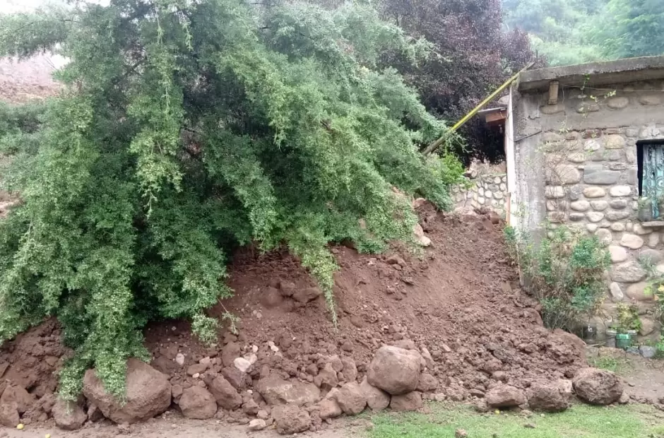 Foto gentileza Jess Maza