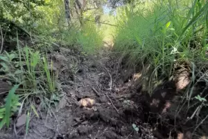 Grave denuncia:  El origen de las grietas en El Lindero fue causado por el desagote de unas piletas