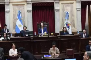 Senado: El kirchnerismo perdi peso y los libertarios se quedaron con la presidencia provisional