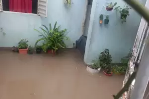 Viviendas resultaron inundadas durante la madrugada