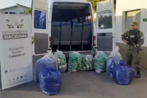 Gendarmera inciner ms de 200 kilos de hojas de coca secuestrados