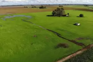 Milei deroga la Ley de extranjerizacin de tierras