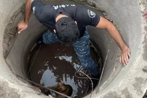 VIDEO|Polica catamarqueo rescat a un perrito atrapado en un pozo
