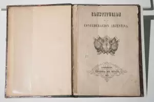 Qu dice el artculo de la Constitucin Nacional que hara caer el DNU de Milei