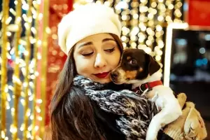 Cmo afecta las fiestas a nuestras mascotas?, mir los principales riesgos