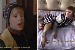 Ya se acerca Nochebuena: los mejores memes a la espera de la Navidad