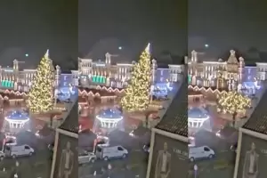 Un rbol de Navidad gigante colaps y mat a una persona